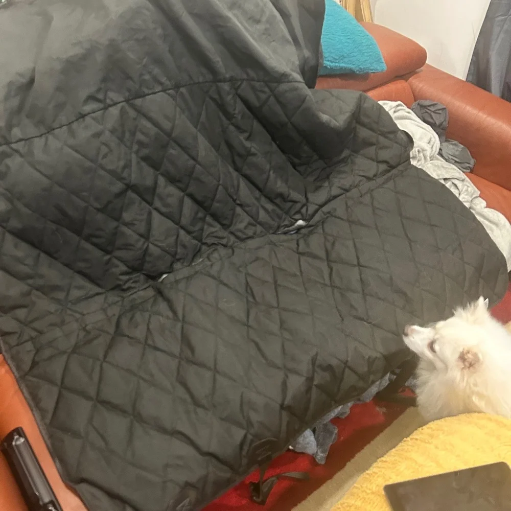 Car seat cover for pets